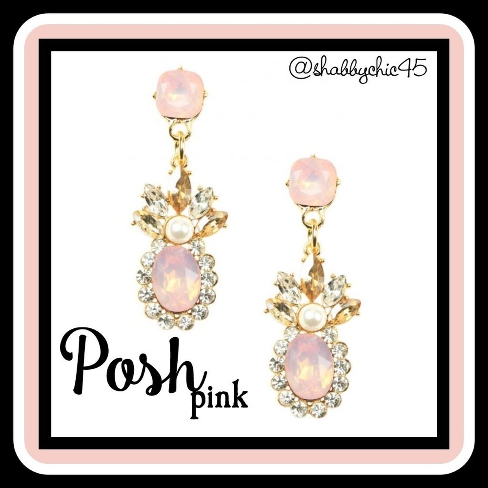 Chic Posh Pink Dangle Earrings